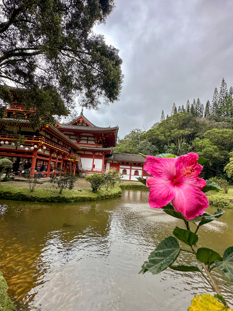 Pink hibiscus flower in front of the Byodo-In Temple pond on Oahu with lush tropical scenery