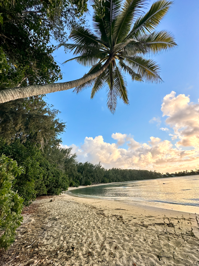 Palm tree overlooking the shoreline at Kawela Bay Beach on Oahu’s North Shore near Turtle Bay Resort