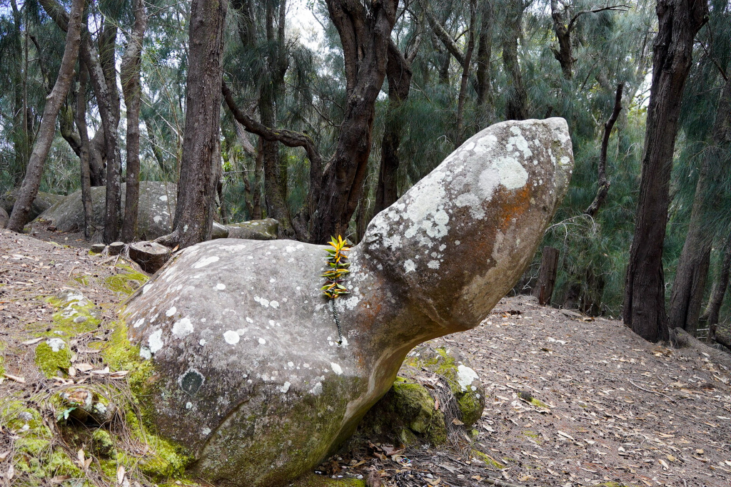 Kauleonanahoa fertility rock on Molokai, a sacred Hawaiian cultural site with a traditional fertility legend.